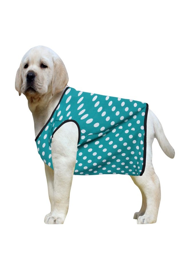 Western Era Funky Soft Cotton Dog T-Shirt | Comfortable & Breathable Dog Clothing | Sleeveless Vest Puppy Outfit |(Polka Sky Blue) (Medium) (18inches) - Image 1